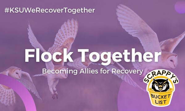 Flock Together: Becoming Allies for Recovery