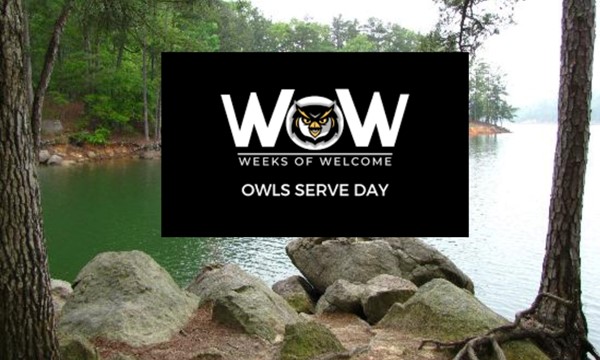 WOW: Day of Service with a UK Spin on Fish & Chips (Cancelled)