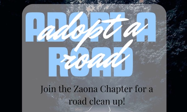 Adopt-A-Road