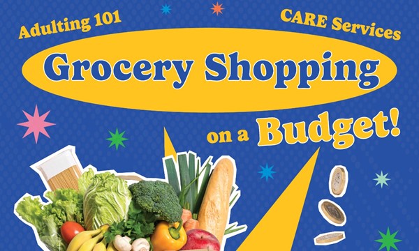 Adulting 101: Grocery Shopping on a Budget