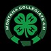 MSU Collegiate 4-H  Profile Picture