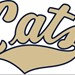 Club Baseball at MSU Profile Picture