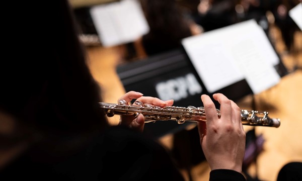 University Band & Orchestra Strings