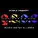 Queer Students of Color: POC LGBTQ+ Alliance