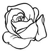 Rose: A Gender Diverse Student Collective