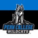 Penn College Student-Athlete Advisory Committee Profile Picture