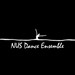 NUS Dance Ensemble Profile Picture