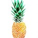 Restaurant, Hotel, and Institutional Management (RHIM) Association Profile Picture