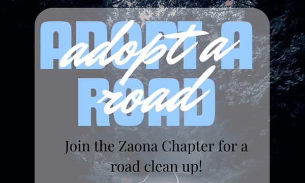 Adopt-A-Road