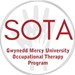 Student Occupational Therapy Association Profile Picture