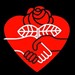 SUNY New Paltz Young Democratic Socialists of America Profile Picture