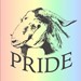 PRIDE Profile Picture