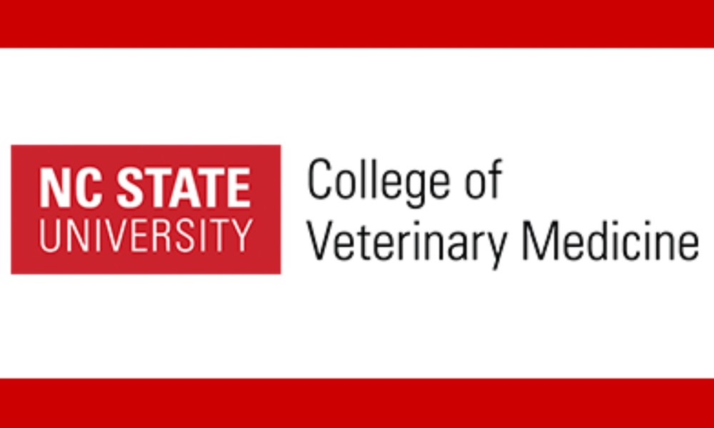 NCSU Veterinary School Admissions Team Meeting - Heel Life