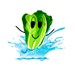 Hydroponics Club Profile Picture