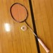 SUNY Oneonta Badminton Club Profile Picture