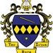 Tau Beta Sigma Profile Picture