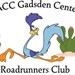 DACC Gadsden Roadrunners Student Club Profile Picture