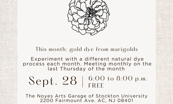 Natural Dyes Club: Marigolds