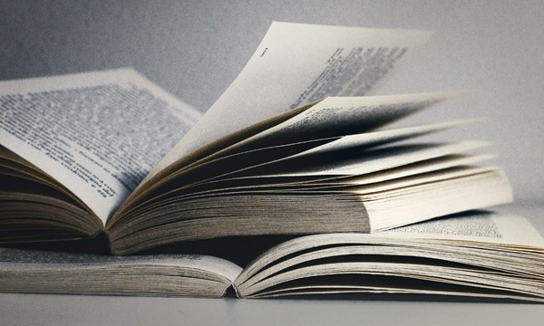 Beyond the Nest: Osprey Author Book Festival