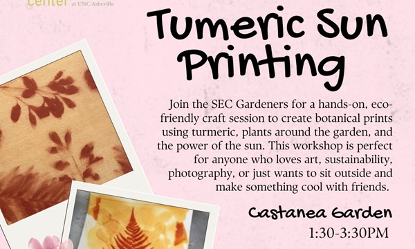 Tumeric Sun -