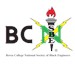 The National Society of Black Engineers Profile Picture