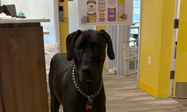 Break time with Boomer