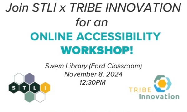 Tribe Innovation X STLI Workshop!