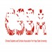 Chinese Students and Scholars Association Profile Picture