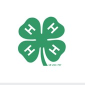 4 H Extension Services