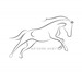 Equine Society Profile Picture