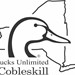 Ducks Unlimited Profile Picture