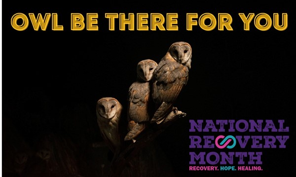 Owl Be There For You