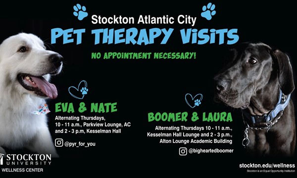 Break Time with Boomer