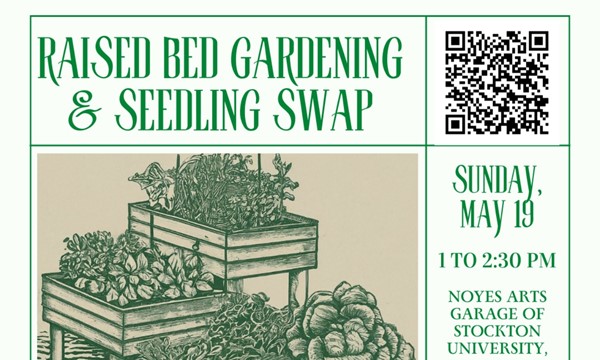 Raised Bed Gardening and Seedling Swap 