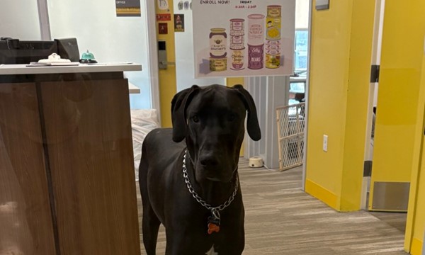 Break time with Boomer