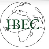 International Business & Economics Club
