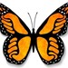 Immigration Law Group Profile Picture