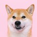 Orientation & New Student Programs Profile Picture