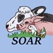 Student Organization for Animal Rights Profile Picture
