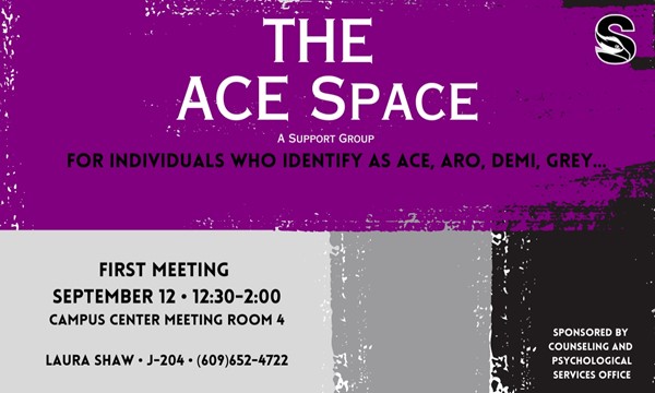The ACE Space Support Group 