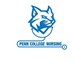 Student Nurses' Association Profile Picture