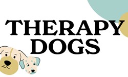 Therapy
