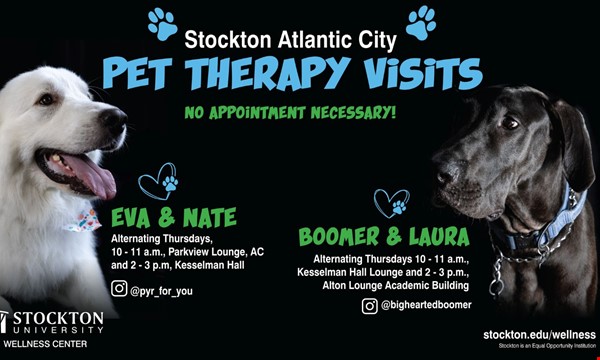 Break Time with Boomer