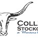 Collegiate Stockgrowers at MSU Profile Picture