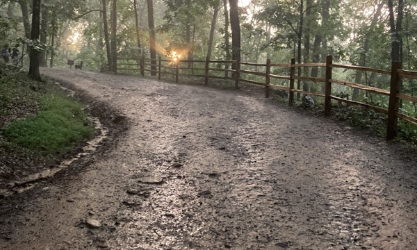 Nature Bound Panther Creek Hike