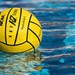 Water Polo Club of SIUE Profile Picture