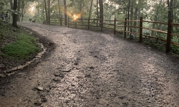 Nature Bound Kennesaw Mtn Hike