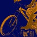 New Paltz Biking Club Profile Picture