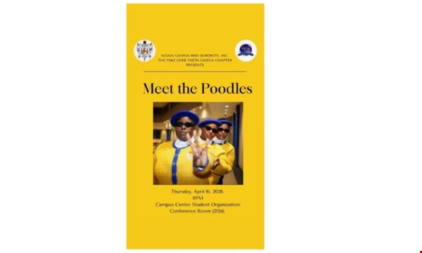 Meet the Poodles