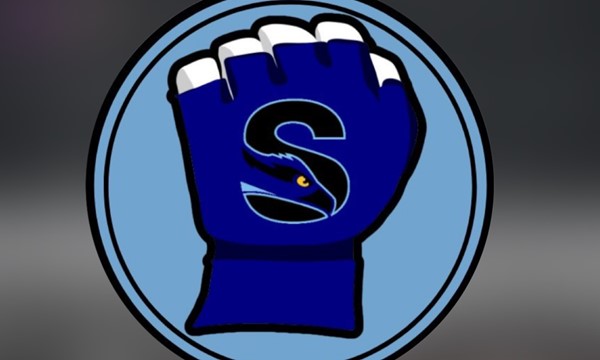 Mixed martial arts training 